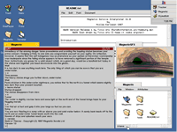 Magnetic 1 on BeOS